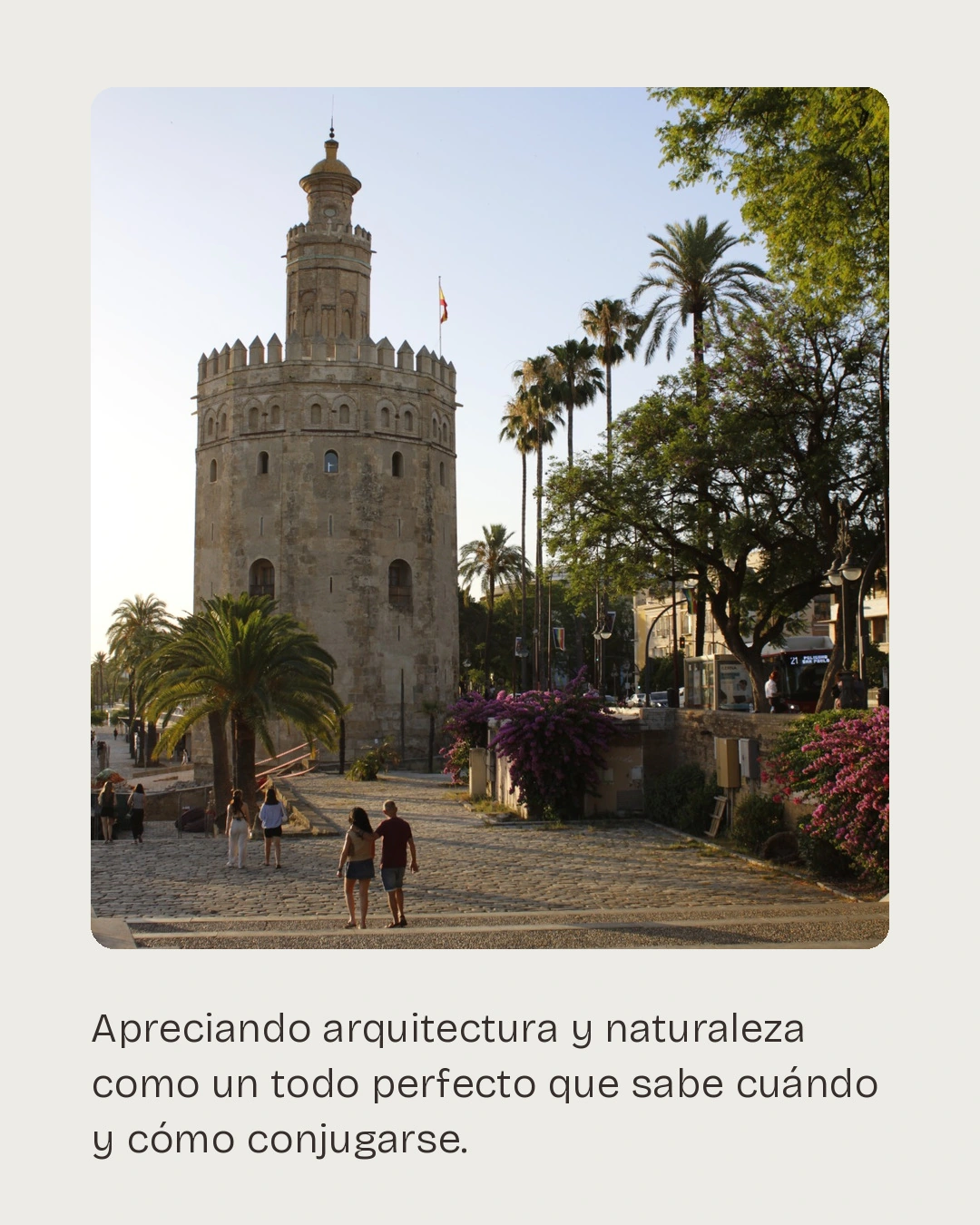 Munya Studio · La Torre del Oro aparece entre palmeras.
